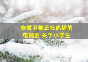 安徽卫视正在热播的电视剧 关于小学生